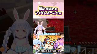 とんでもない勘違いでぺこらにぶちギレられるヴィヴィw#shorts 【兎田ぺこら/綺々羅々ヴィヴィ】【マイクラ】