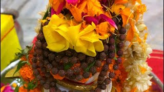 Pandit Anil shastri ji hsp is live 🔴 LIVE | श्री शिव रुद्राभिषेक एवं दिव्य महाआरती | भोलेनाथ का पावन