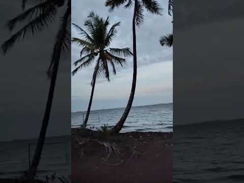 Área 7 (Parte2) - Baía de Camamu, Bahia, Brasil