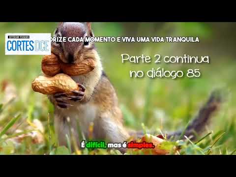 Cortes DcE #606 Paciência_ Valorize cada momento e viva uma vida tranquila -  Pai João da Angola