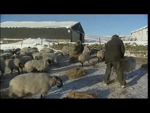 Watch lagu Images Videos News Bbc Highlands, Watch Images News Bbc Highlands free Watchn, video klip News Bbc Highlands