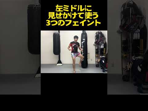 左ミドルキックのフェイントで他の攻撃を当てる3つのテクニック！~相手の心理を利用せよ~