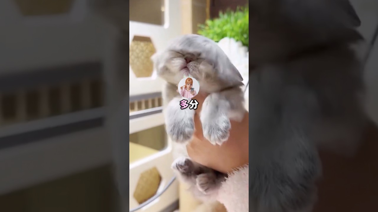 「クレームあったんだけど…」コンビニバイトで客に塩対応した結果…ｗ