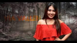 Download lagu Via Vallen Bagaikan Langit dan Bumi mp3
