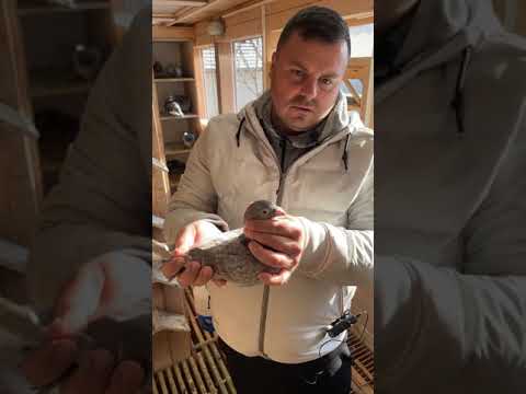 Interviu cu Oros Bogdan!