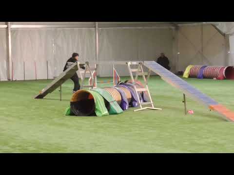Ainhoa & Gea - CSEN agility junior 300