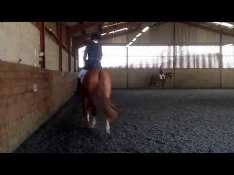 Warming in 29/03/2014