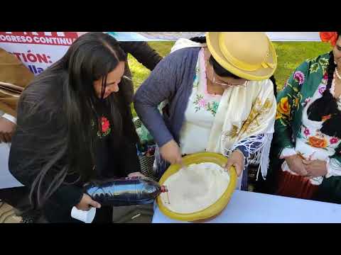 GOBERNACIÓN  DE TARIJA INVITA A LA XIX EDICIÓN DE LA FERIA DEL VINO Y SINGANI CASERO EN PAICHO