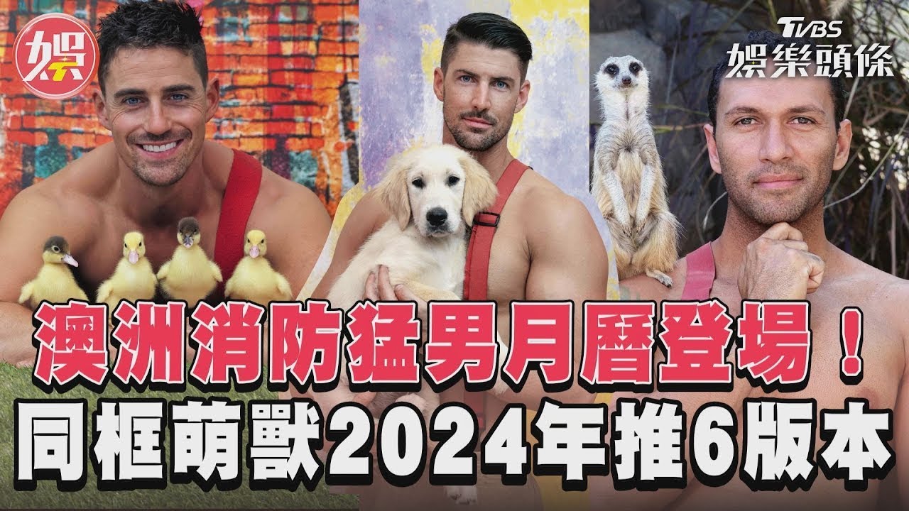 影音/澳洲消防猛男月曆登場! 同框萌獸2024年推6版本
