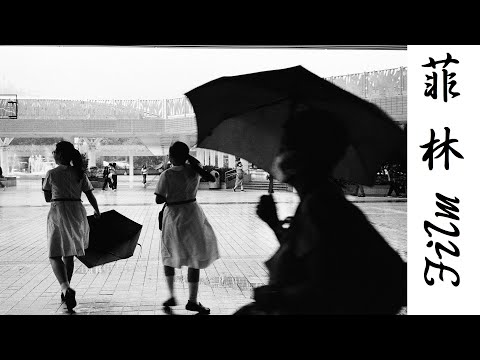 #182 Original Wolfen NP100 Black-and-White Negative Film (D96 developer)