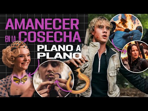 DAWN IN THE HARVEST: ALL THE SECRETS OF THE TRAILER