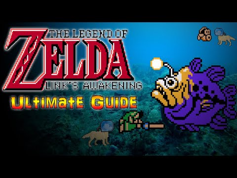 #Zelda The Legend of Zelda: Link's Awakening DX  - ULTIMATE GUIDE - ALL Levels, ALL Items, 100%!