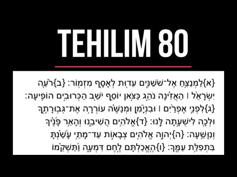[Tehilim פ] Salmo 80 en hebreo con fonética