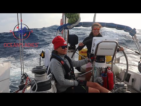 Aalloilla kohti Venemessuja