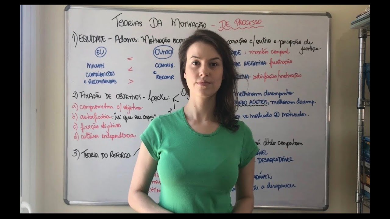 MOTIVAÇÃO - Teorias do Processo (Adams/Locke/Skinner)