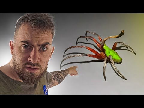 Ces Animaux Sont ULTRA Rares