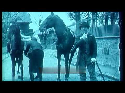 Zigoto et l'écuyère