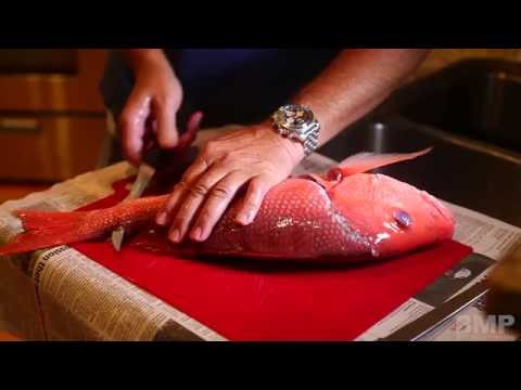 How to Fillet a Red Snapper Fish  ©Brett Martin Productions