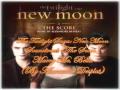New Moon Soundtrack [The Score] - Marry Me ...