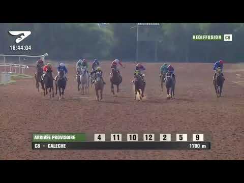 Live Hippodrome « Khemisset » | Courses du « 25/10/2020 »