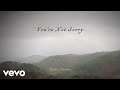 Taylor Swift - You're Not Sorry (Taylor's Version) (Lyric Video)