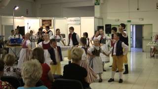 preview picture of video 'Jiřinkové slavnosti 7.9. 2013 Výstaviště Lysá nad Labem'