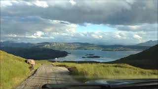 Saybia - Bend The Rules (fan-made video)