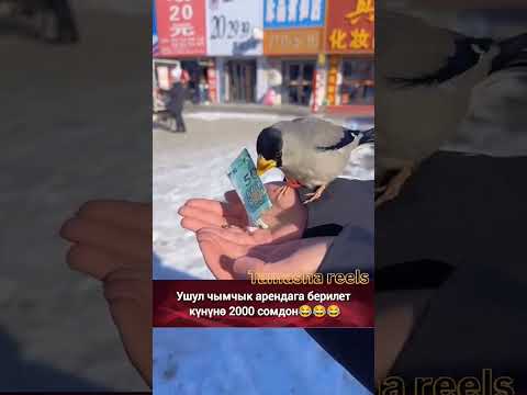 Техноложия 😀↗️✅