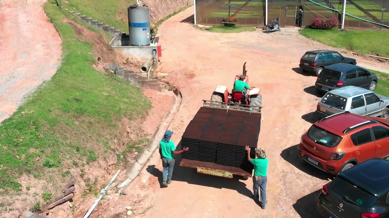 Viveiro de mudas de hortaliças Mingoti