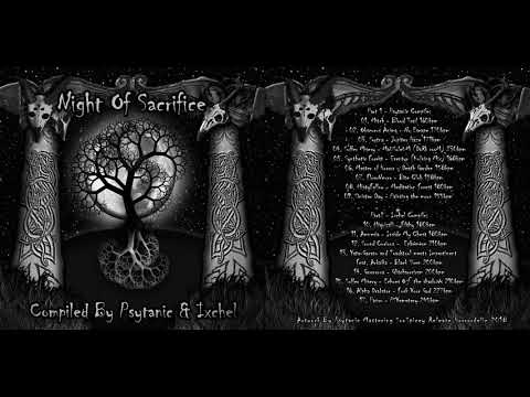 15. Suffer Misery - Echoes Oƒ the shadoWs 210 bpm