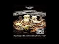 Limp Bizkit Chocolate Starfish And The Hot Dog Flavored Water 2000 Full Album