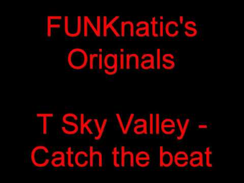 T Sky Valley - Catch the beat