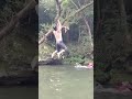 타잔 물놀이 #shorts
