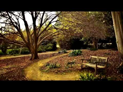 Simple Truths - Matt Smith