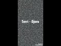Terri - Ojoro (Official Lyrics Video )