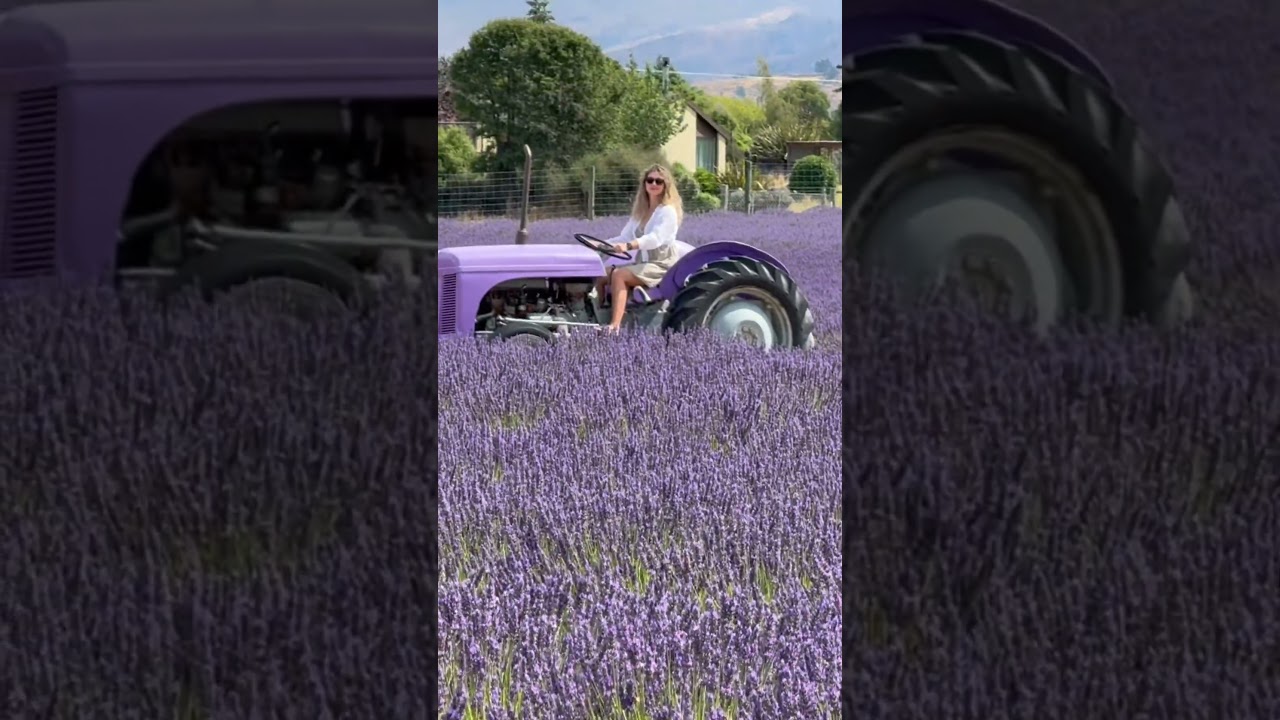 YouTube Short thumbnail