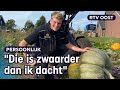 NK Pompoenwegen: Is de pompoen van Gerben (20) de zwaarste van het land? | RTV Oost