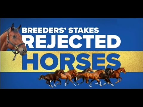 Breeders' Stakes Rejected Horses