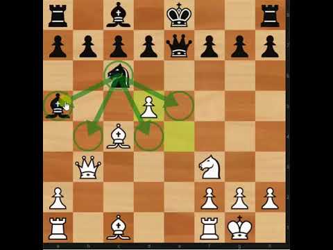 Robert James Fischer vs. Reuben Fine, New York 1963