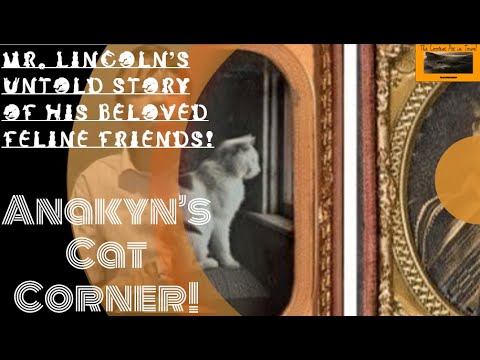 Anakyn's Cat Corner! S1 E10: Abraham Lincoln and His Cats l The Coolest Pet in Town!
