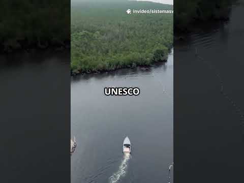 Descubre la Magia Cananéia São Paulo Brasil