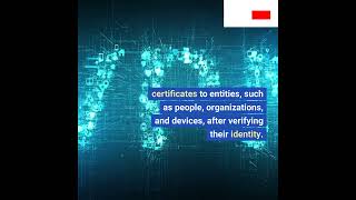 YouTube Thumbnail for PKI IN ONE MINUTE #shorts #pki