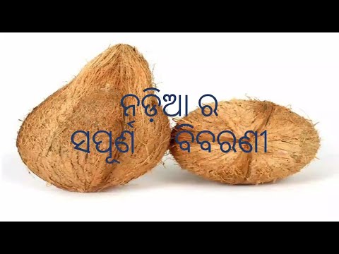 ନଡ଼ିଆର ସପୂର୍ଣ ବିବରଣୀ,odia benefits of coconut,odia health tips of coconut,odia benefits varkha