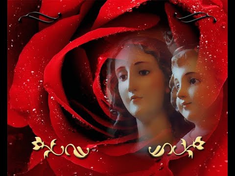 Video Homenaje Promoción 25 Colegio Secundario María Auxiliadora