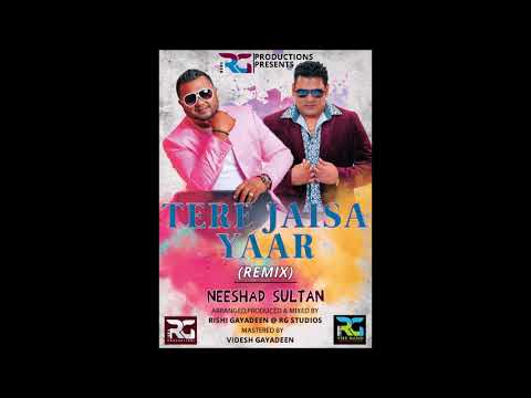 TERE JAISA YAAR (REMIX) - NEESHAD SULTAN (RG THE BAND)