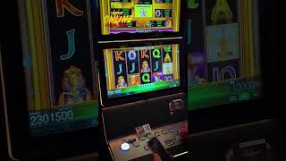 THIS IS BIGWIN! #slot #bookofra #bigwin #gamblinggame