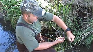 Trapping - Blind set with a 120 conibear