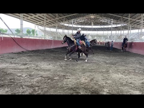 E2P7 - Nuevos Talentos En Cala