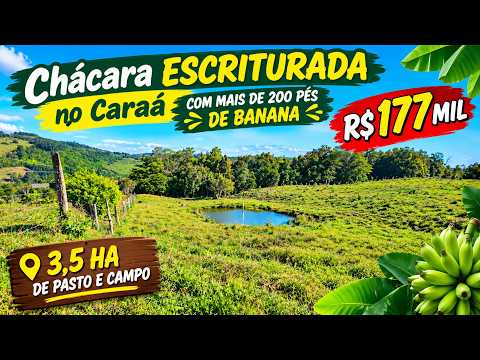 Vídeo