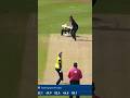 Another Reverse Sweep For 4 Cricketvlog Cricket Sports Cricketshorts Shortvideo Shots Reverse